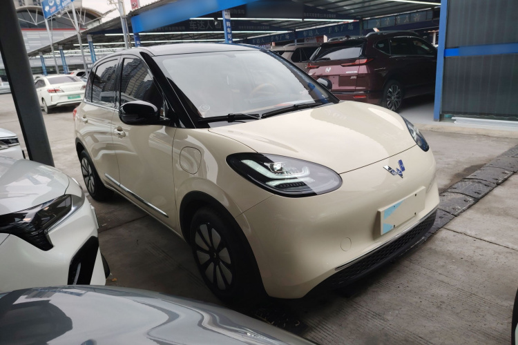 五菱汽车 五菱缤果 2025款 333km 灵犀互联款车身外观3