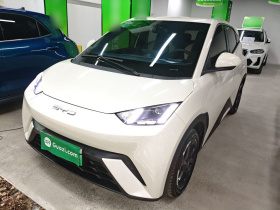 比亚迪 海鸥 2023款 自由版