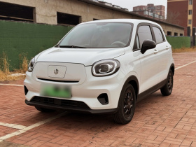 零跑汽车 零跑T03 2025款 310舒享版