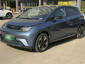 比亚迪 海豚 2024款 荣耀版 420km 时尚版