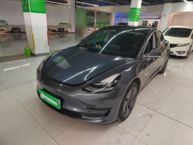 特斯拉 Model 3 2019款 标准续航后驱升级版
