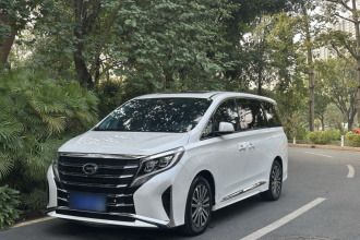 广汽传祺 传祺M8 2021款 领秀系列 390T 尊贵版