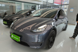 特斯拉 Model Y 2021款 标准续航后驱版