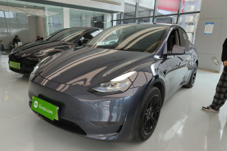 特斯拉 Model Y 2021款 标准续航后驱版