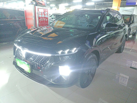 岚图汽车 岚图知音 2024款 四驱全球版