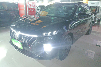 岚图汽车 岚图知音 2024款 四驱全球版