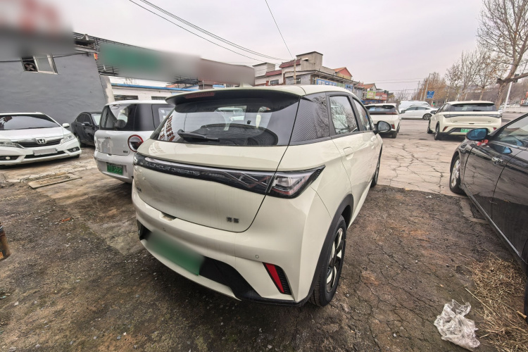 比亚迪 海豚 2025款 420km 自由版车身外观6004