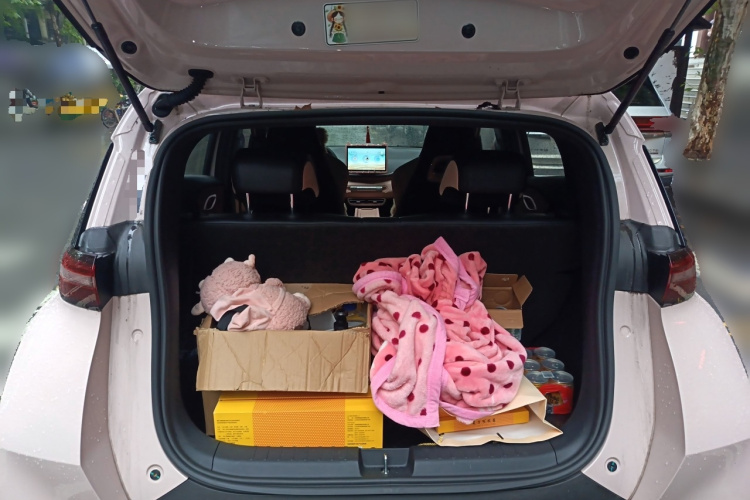 比亚迪 海鸥 2025款 305km 活力版中控内饰23