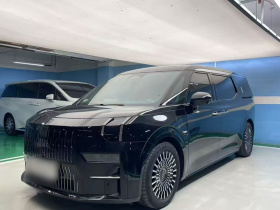 极氪009 2022款 改款 WE版