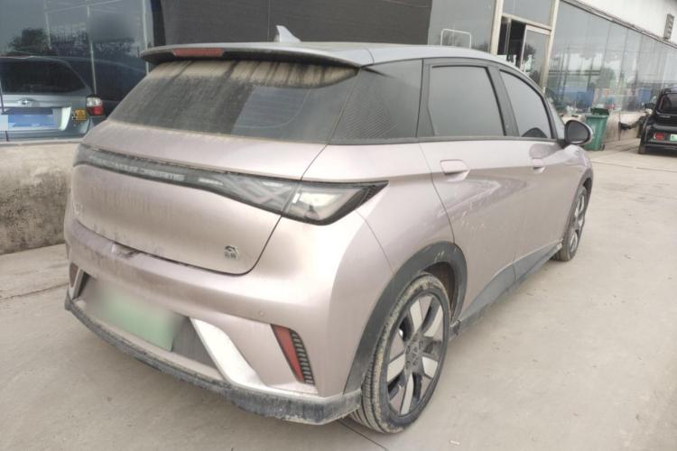 比亚迪 海豚 2021款 401km 骑士版车身外观6003