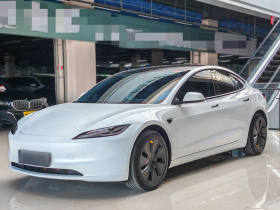 特斯拉 Model 3 2023款 后轮驱动版