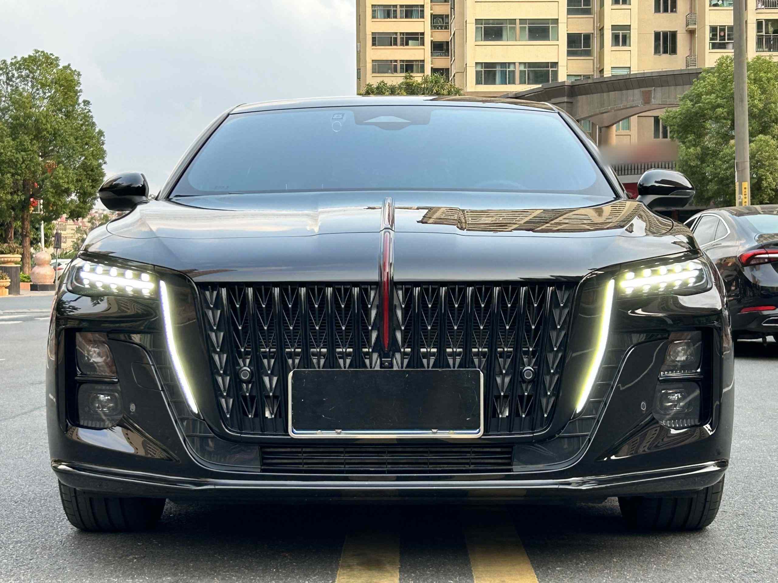红旗H5 2025款 2.0T 自动玄影版(2)