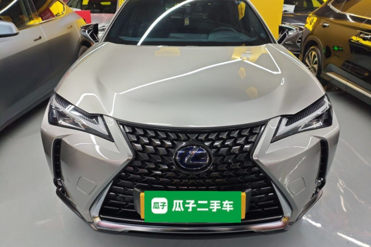 雷克萨斯UX新能源 2020款 300e 纯·悦版车身外观2