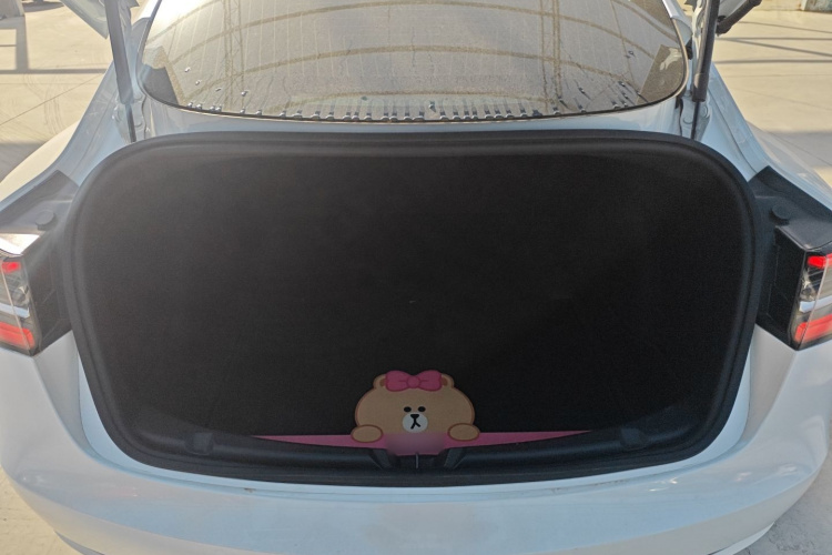 特斯拉 Model 3 2019款 标准续航后驱升级版机舱底盘23