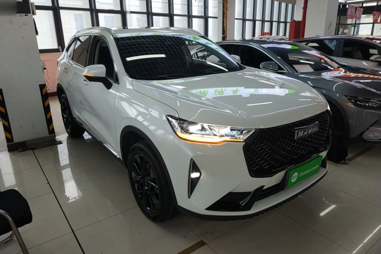 哈弗H6 2021款 第三代 2.0T 自动两驱Max车身外观6002