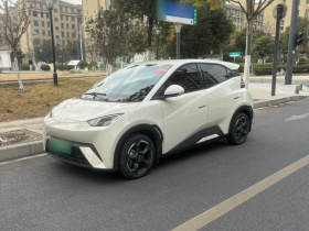 比亚迪 海鸥 2023款 自由版