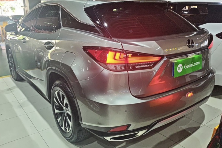 雷克萨斯RX 2020款 改款 300 两驱舒适版车身外观6003