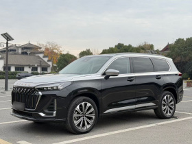 星途揽月 2023款 400T 四驱星尊版 6座