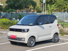 五菱汽车 宏光MINIEV 2022款 马卡龙时尚款 磷酸铁锂