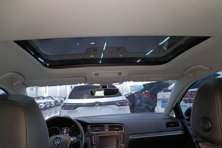 大众 高尔夫 2017款 230TSI 自动豪华百万辆纪念版局部细节22