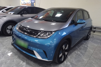 比亚迪 海豚 2021款 401km 骑士版