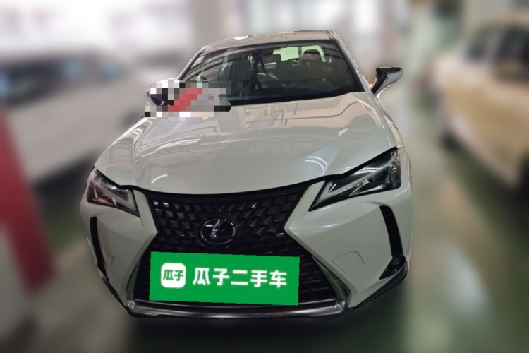 雷克萨斯UX新能源 2020款 300e 纯·悦版车身外观6001