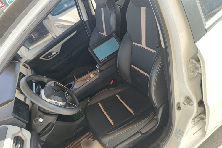 思皓 2022款 花仙子款 四叶草局部细节19