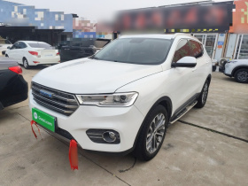 哈弗H6 2017款 蓝标 2.0T 自动两驱智尚型