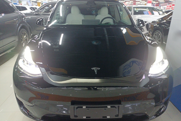 特斯拉 Model Y 2021款 标准续航后驱版车身外观2