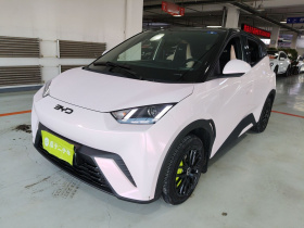 比亚迪 海鸥 2025款 305km 活力版