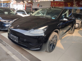 特斯拉 Model Y 2022款 后轮驱动版