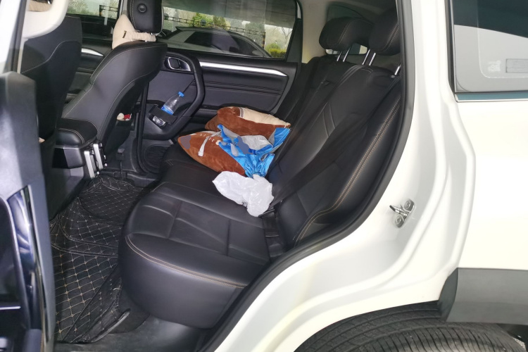 哈弗大狗 2021款 1.5T DCT两驱马犬-旺财版中控内饰21