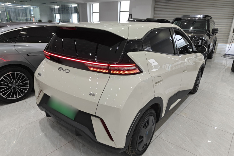 比亚迪 海鸥 2024款 荣耀版 305km 活力版车身外观7