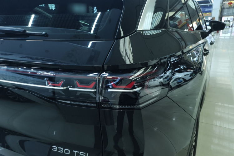 大众 揽巡 2023款 330TSI 豪华巡逸版车身外观9