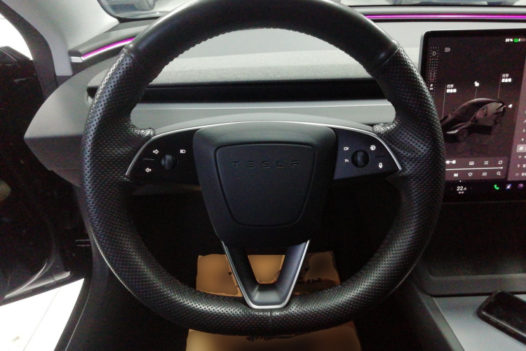 特斯拉 Model 3 2023款 长续航全轮驱动版局部细节13