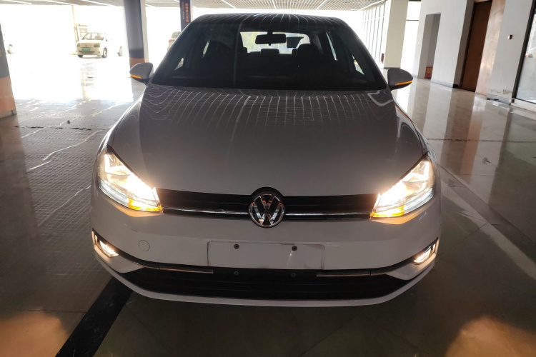 大众 高尔夫 2019款 1.6L 自动舒适型 国V车身外观6001