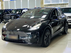 特斯拉 Model Y 2023款 后轮驱动版