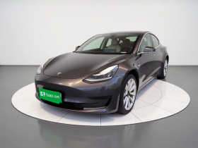 特斯拉 Model 3 2019款 标准续航后驱升级版