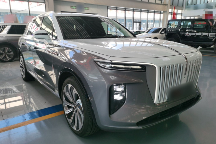 红旗E-HS9 2022款 660km 旗领版 四座车身外观3