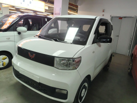 五菱汽车 宏光MINIEV 2022款 轻松款 三元锂