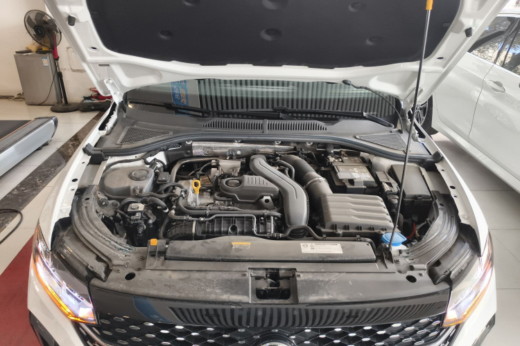 大众 朗逸 2024款 300TSI DSG星空领先版局部细节24