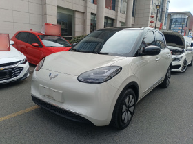 五菱汽车 五菱缤果 2025款 333km 悦享款