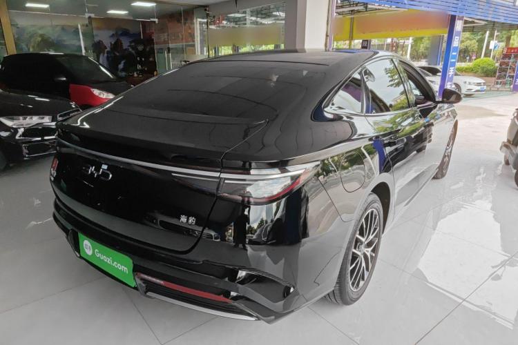 比亚迪 海豹 2023款 DM-i 1.5T 121km 尊荣型车身外观7