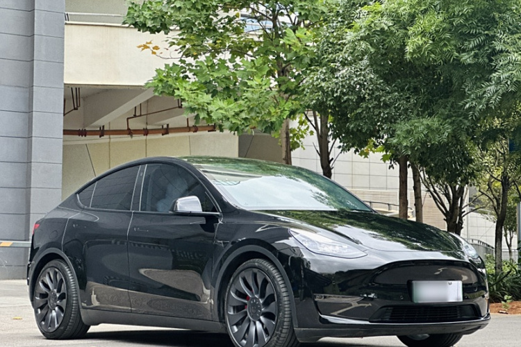 特斯拉 Model Y 2022款 Performance高性能全轮驱动版车身外观6008
