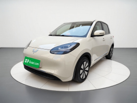 五菱汽车 五菱缤果 2023款 203km 舒享款