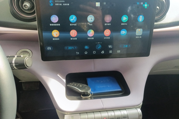 比亚迪 海豚 2021款 405km 时尚版局部细节16