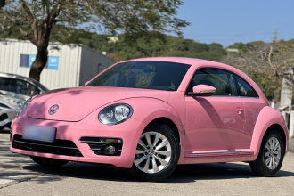 大众 甲壳虫 2018款 180TSI 宜乐型