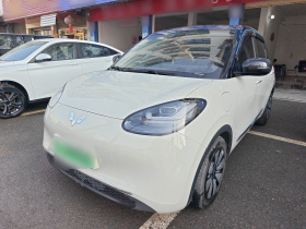 五菱汽车 五菱缤果 2023款 333km 灵犀互联款