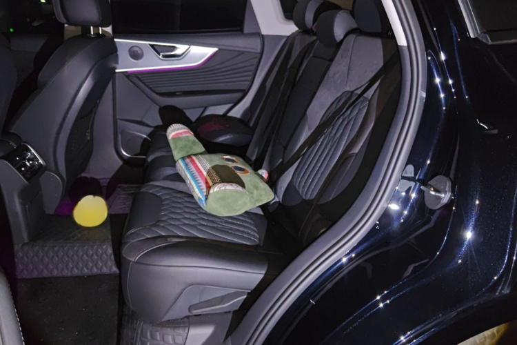 红旗HS5 2023款 2.0T 旗享Pro版中控内饰7004