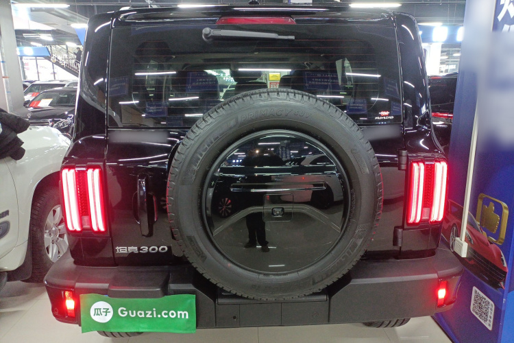 坦克300 2024款 2.0T 穿越者车身外观6